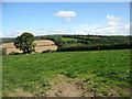 Farmland east of Meidrim