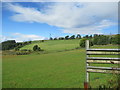 NO4662 : Part of Deuchar Hill from Deuchar Farm near Brechin by ian shiell