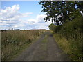 Track north of North Lodge Farm