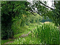 Canal towpath near South Wigston in Leicestershire