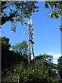 Woodland transmitter