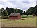 Field barn off Hocker Lane