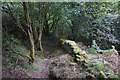 Path leading to Royd Edge