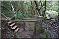 Path leading to Royd Edge