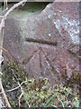 Bench mark below Frith Mountain