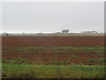 View west from Cairnton farm track near Laurencekirk