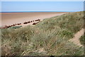 SD3128 : Sand dunes backing beach by John Tomlinson