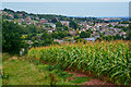 Mid Devon : Crediton Scenery