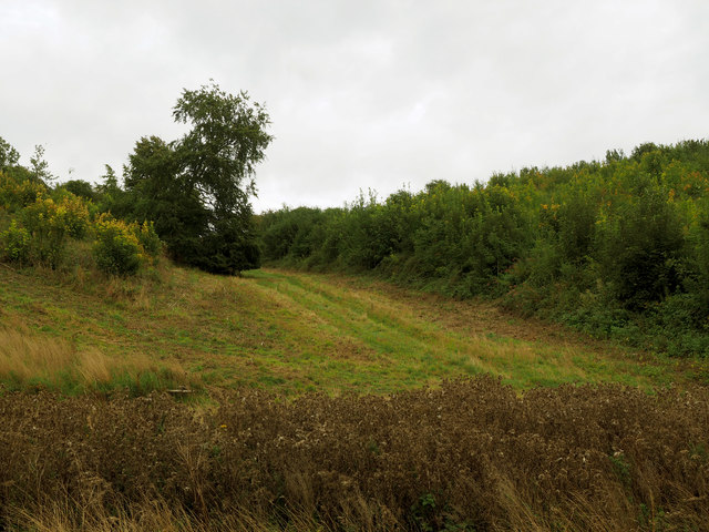 Woodland Hill Track