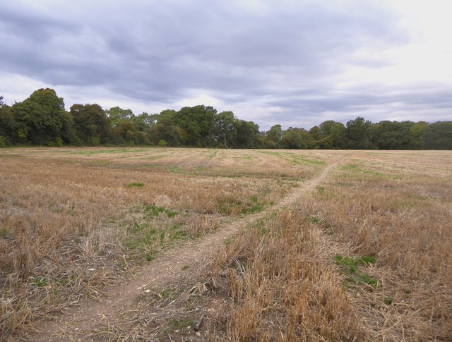 Farmland west of Downe