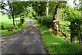 Drumragh Road, Drumconnelly