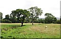 Pasture at Bridge End Farm