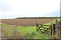 NU2419 : Arable field near Craster West Farm by Graham Robson