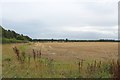 NU2418 : Field beside Northmoor Wood by Graham Robson