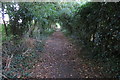 Bridleway south to the A422