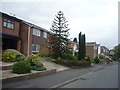 Houses on Sandgate Road, Whitefield