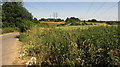 By the track to Fugglestone Red Buildings