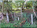 Llwybr ger Ty-cerrig / Path near Ty-cerrig