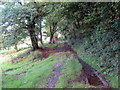 Llwybr ger Penddaulwyn Fawr / Path near Penddaulwyn Fawr