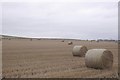 Stubble and round bales, Crosston