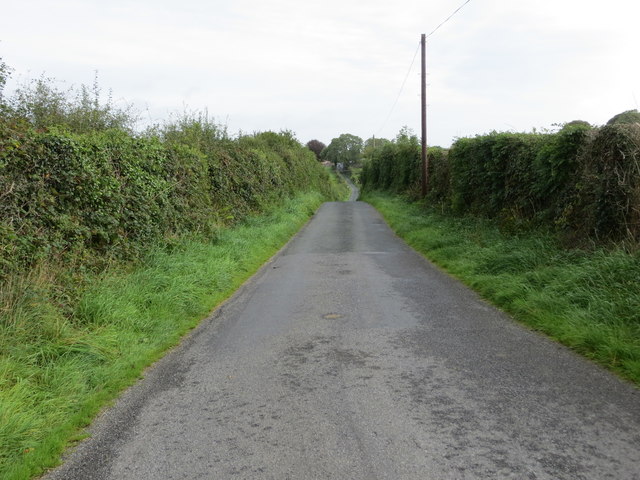 Hedge enclosed lane near Longford, Castlerea