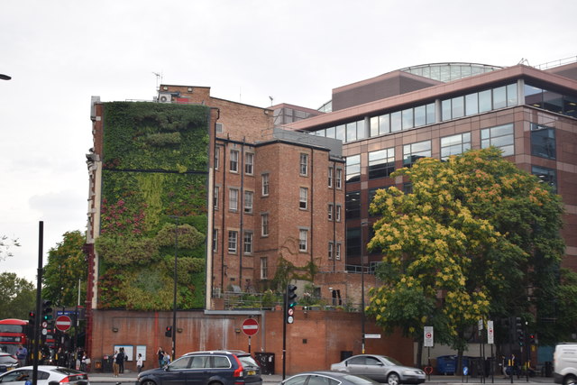 Elephant and Castle Tube Station living wall