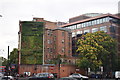 Elephant and Castle Tube Station living wall