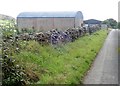 Farm sheds alongside the Aughanduff Road