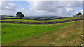 Fields south of Holcombe Hill