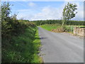 M7577 : Road and forestry near Milltown by Peter Wood