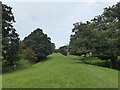 Path to Hurst Green