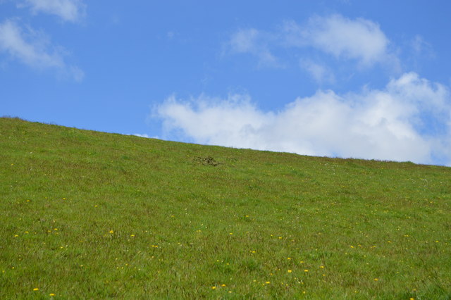 Grassy slope