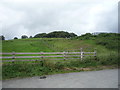 Grazing, Cadshaw Farm