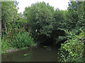 The River Colne on Stanwell Moor