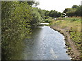 The River Colne south of Horton Road (2)