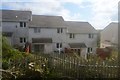 Houses, Shute Meadow