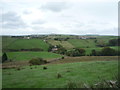 Grazing off Haslingden Road (B6236)