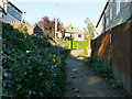 Bridleway approaching Smalewell Road