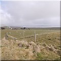 Farmland, Burray