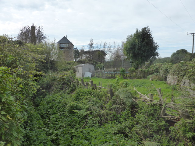 Overgrown path near Tregurtha Engine House