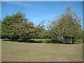 Chesham: Bowl barrow in Lowndes Park (2)