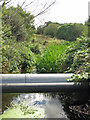 Wraysbury River below Lintell