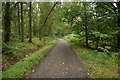 Road through Kirkhouse Wood