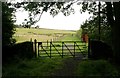 Gate at the end of the road