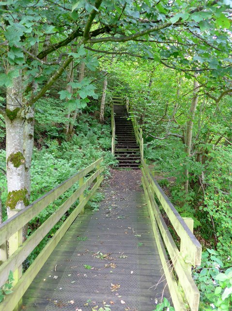 Boardwalk and steps on the Clyde Walkway