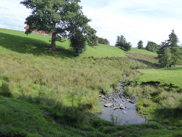 Stream on the Stonyhurst Estate