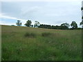 NZ1331 : Grassland near Lane House Farm by JThomas