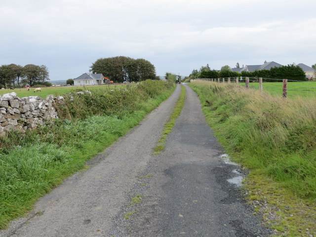 Wall and fence enclosed lane near Carrownageeloge