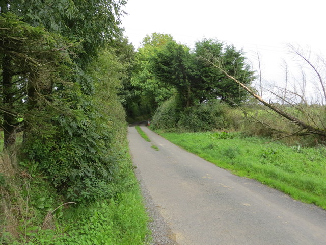 Lane near Ashpark