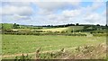 Hay fields in the Townland of Carrickrovaddy